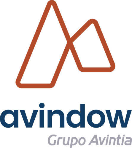 Logotipo oficial avindow